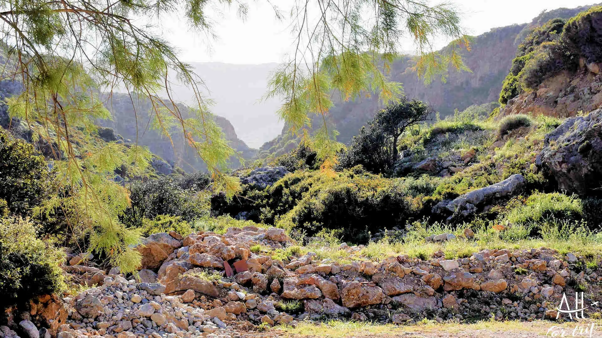 AFRTATA BEACH - photo 32