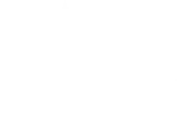 Book your AllForTrip excursions now!