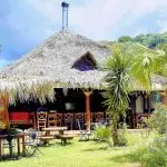 Frosini`s Garden - photo 56