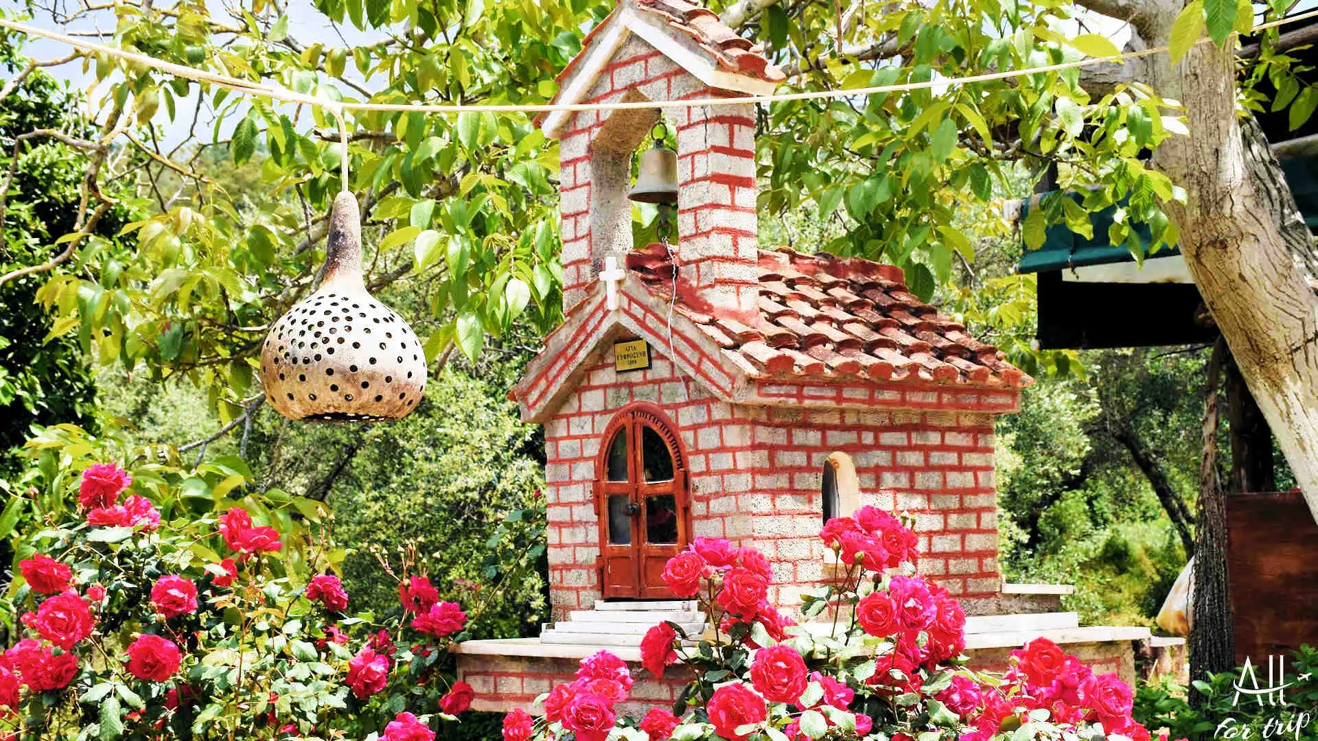 Frosini`s Garden - photo 58