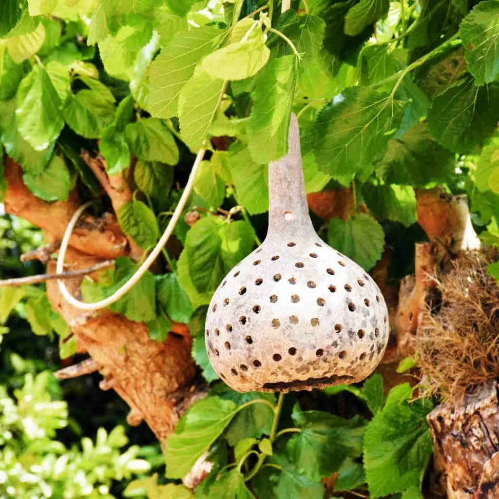 Frosini`s Garden - photo 59
