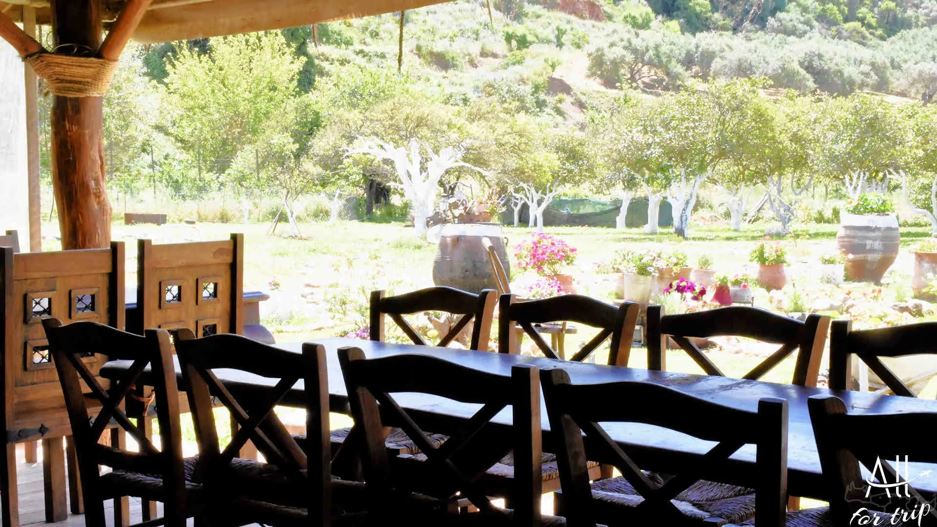 Frosini`s Garden - photo 74