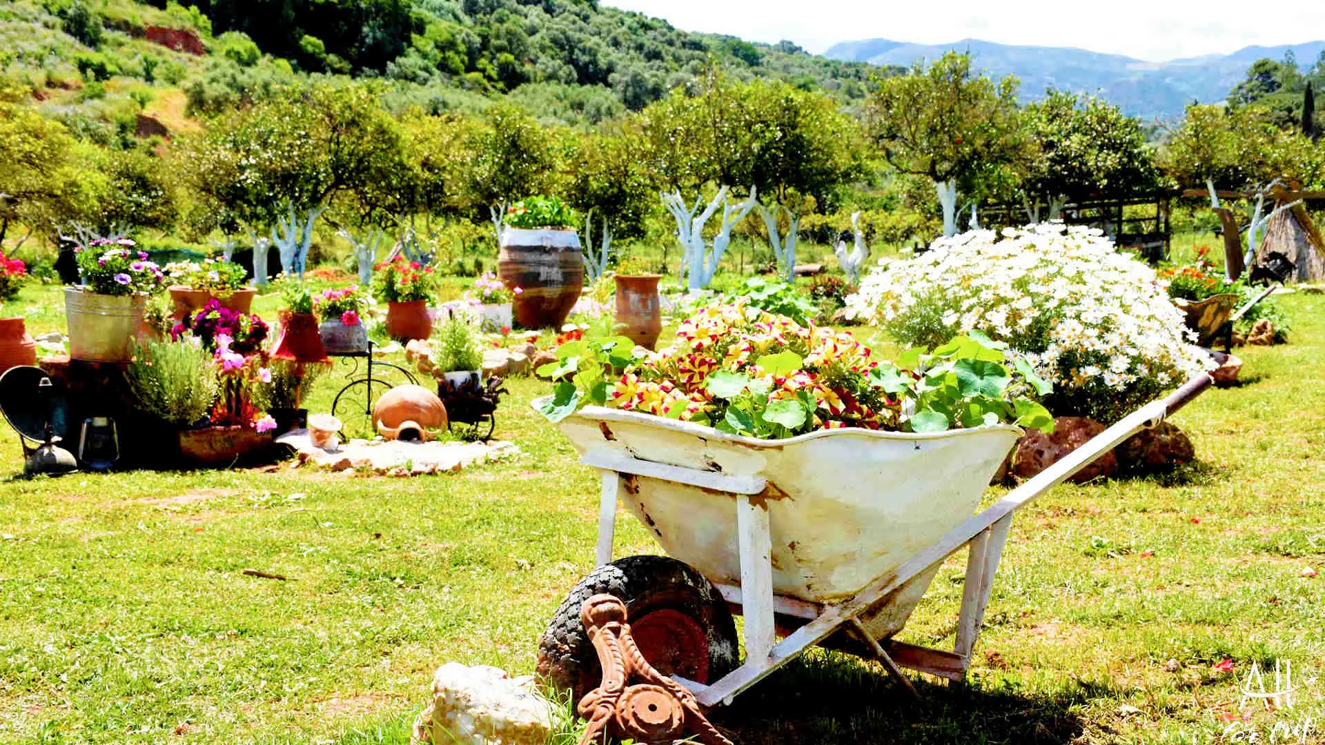 Frosini`s Garden - photo 28