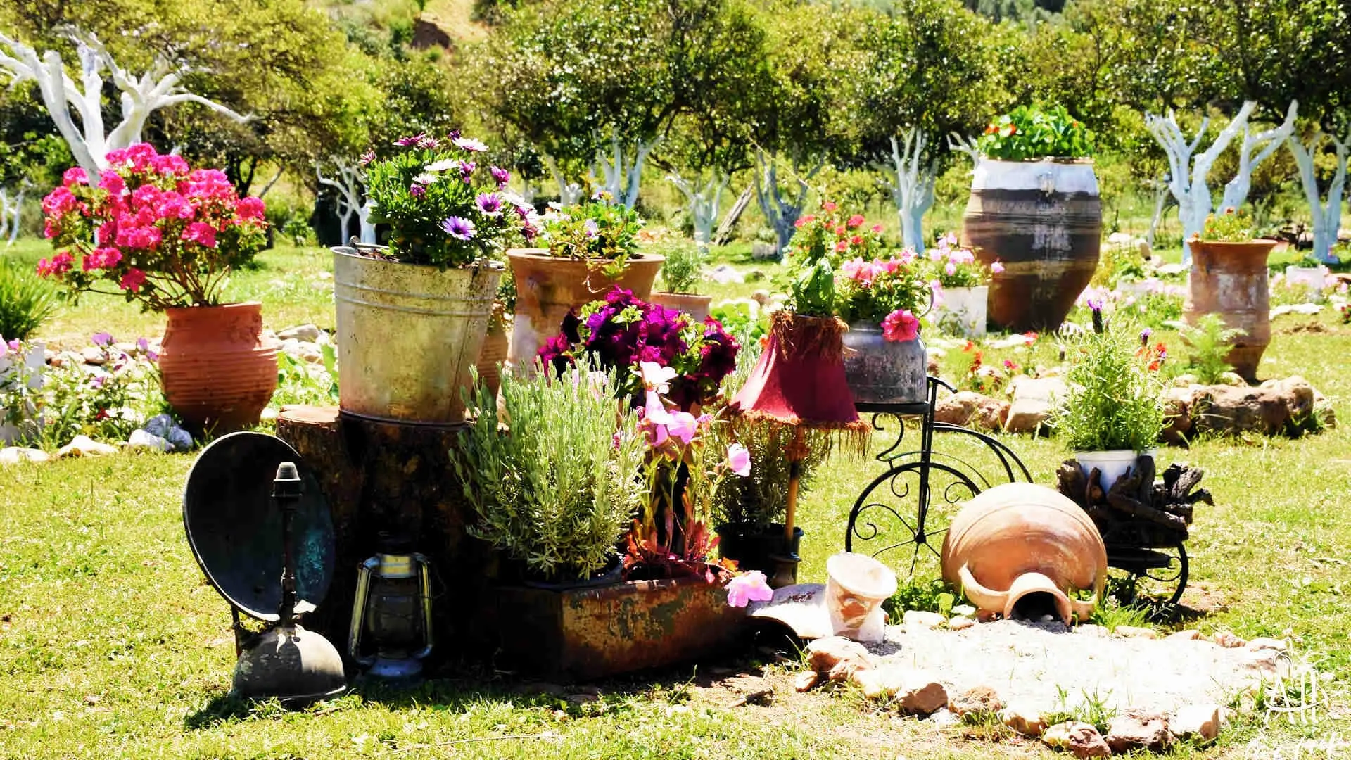 Frosini`s Garden - photo 30