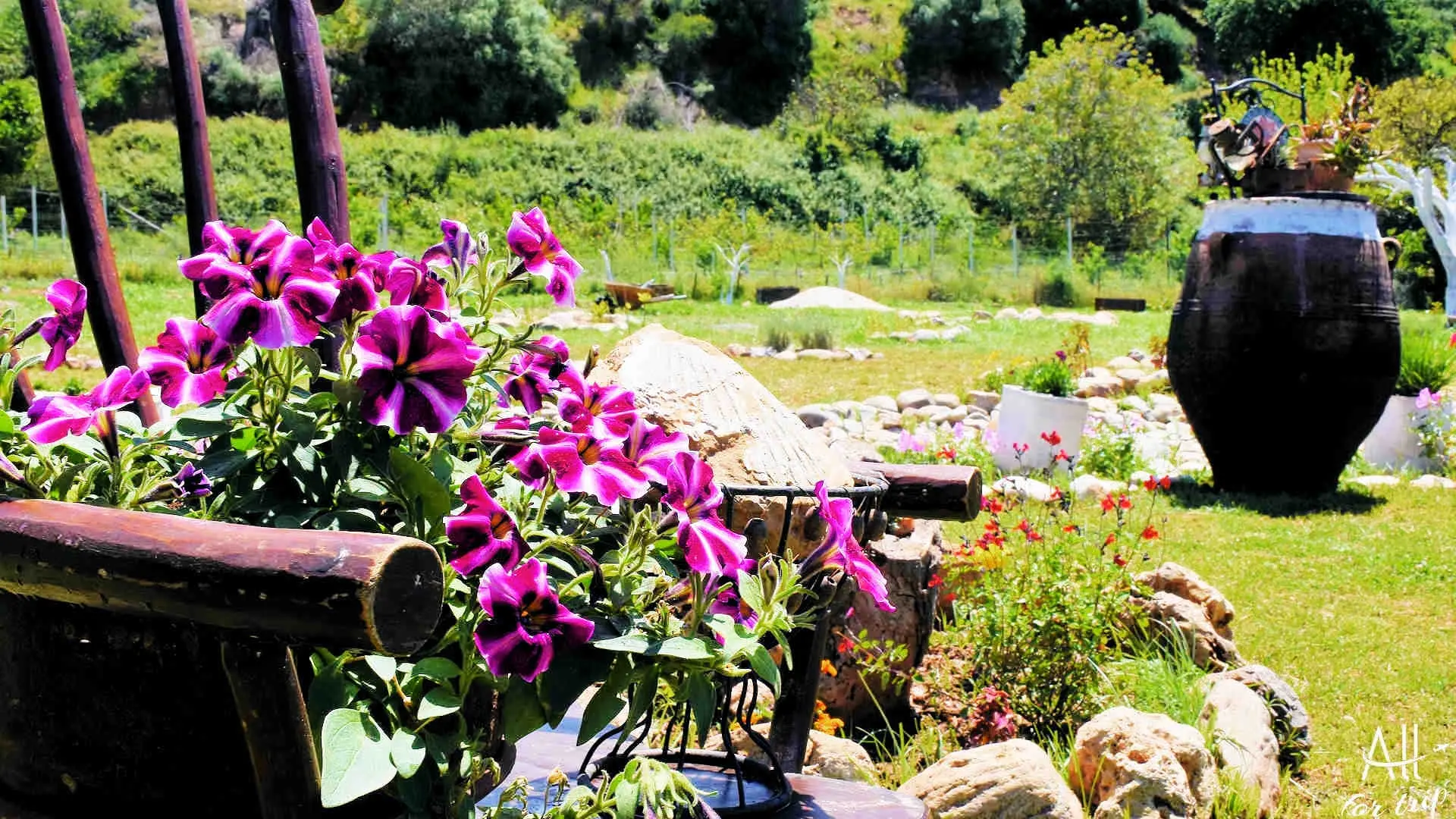 Frosini`s Garden - photo 29