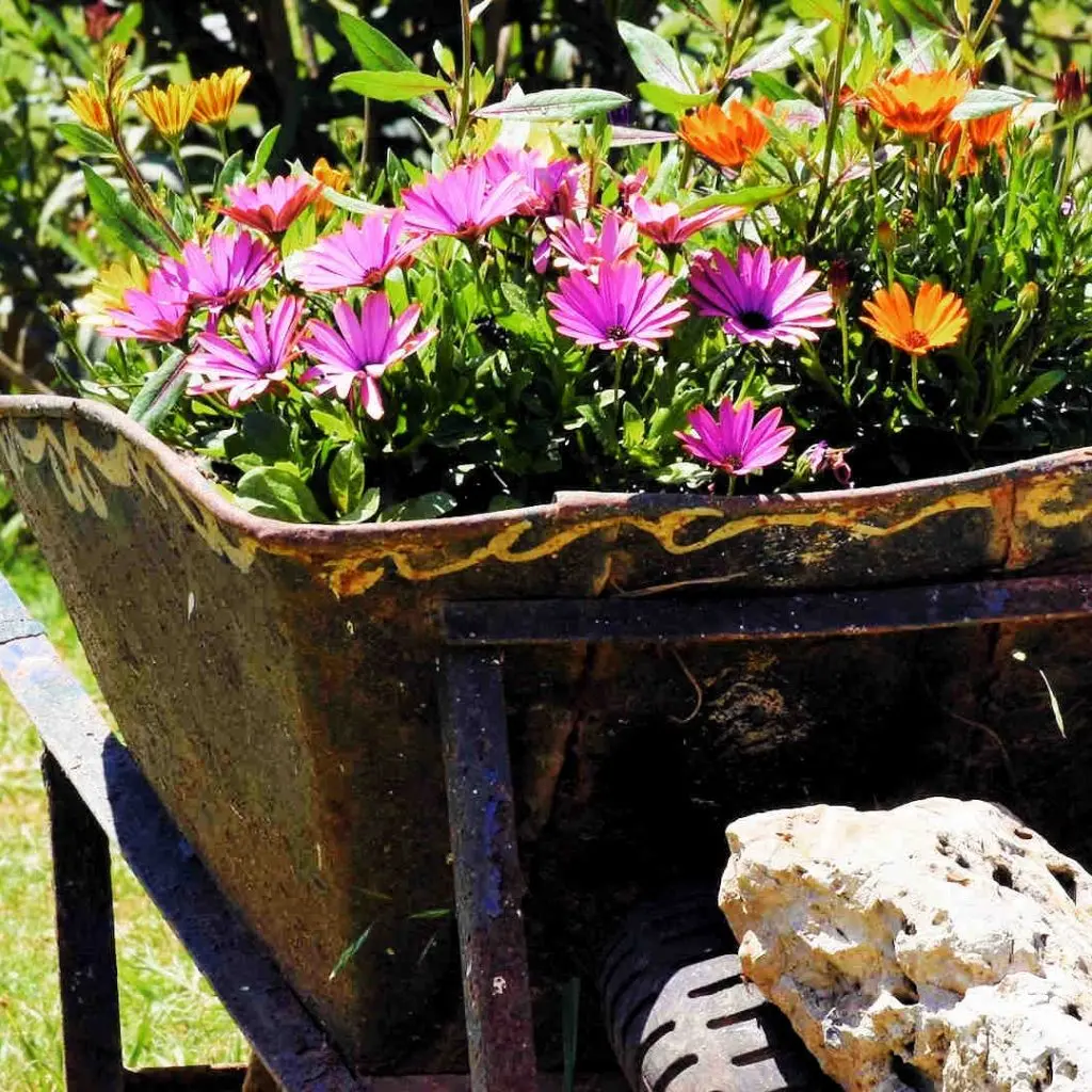 Frosini`s Garden - photo 34