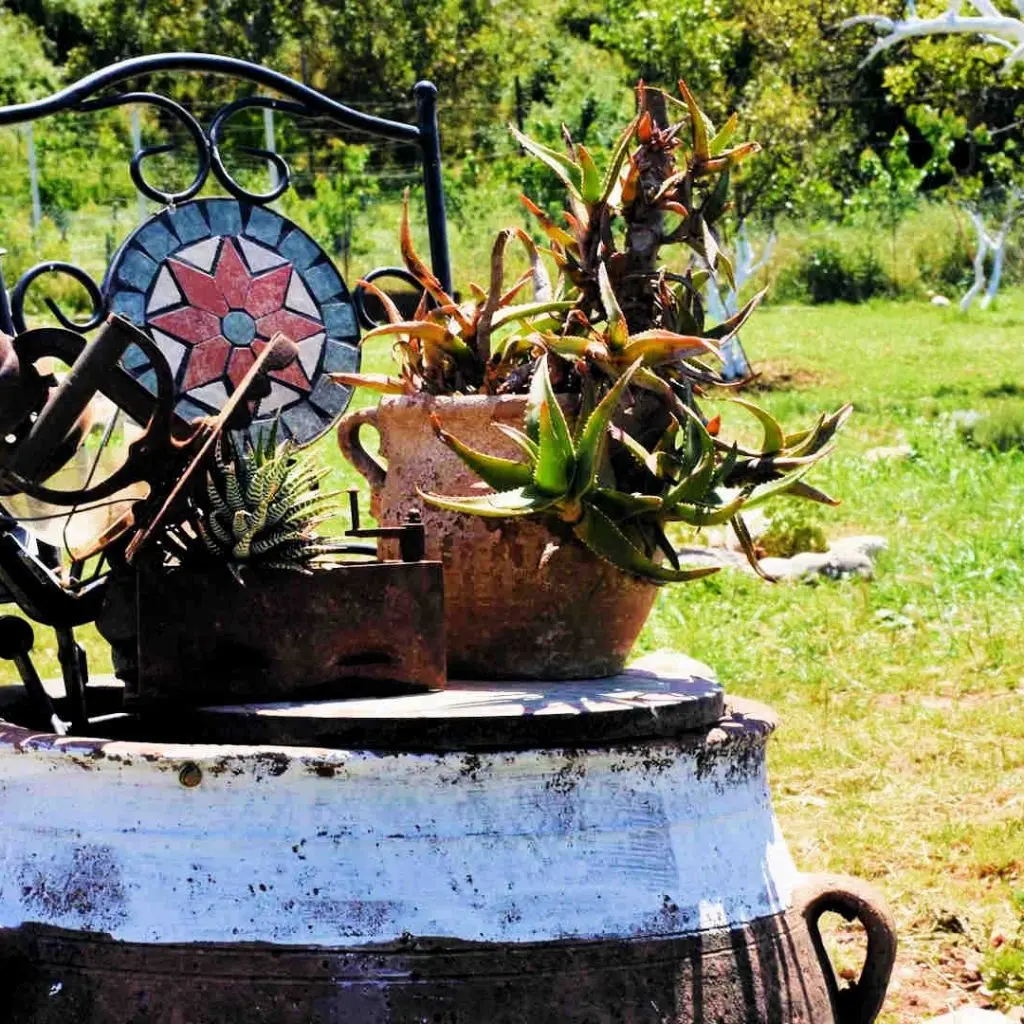 Frosini`s Garden - photo 35