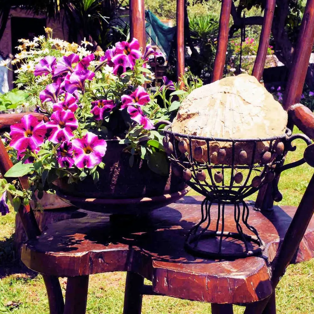 Frosini`s Garden - photo 36