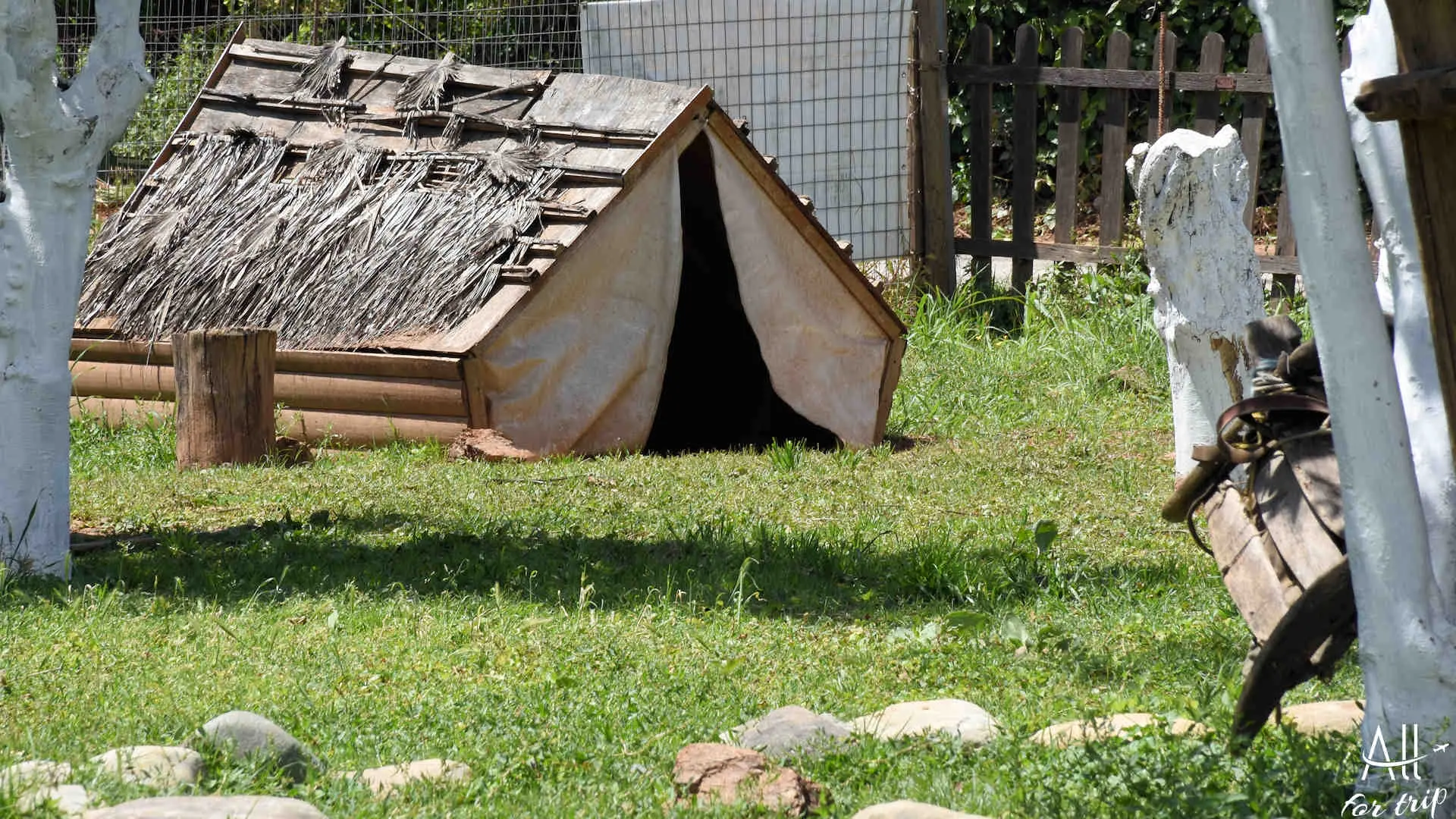 Frosini`s Garden