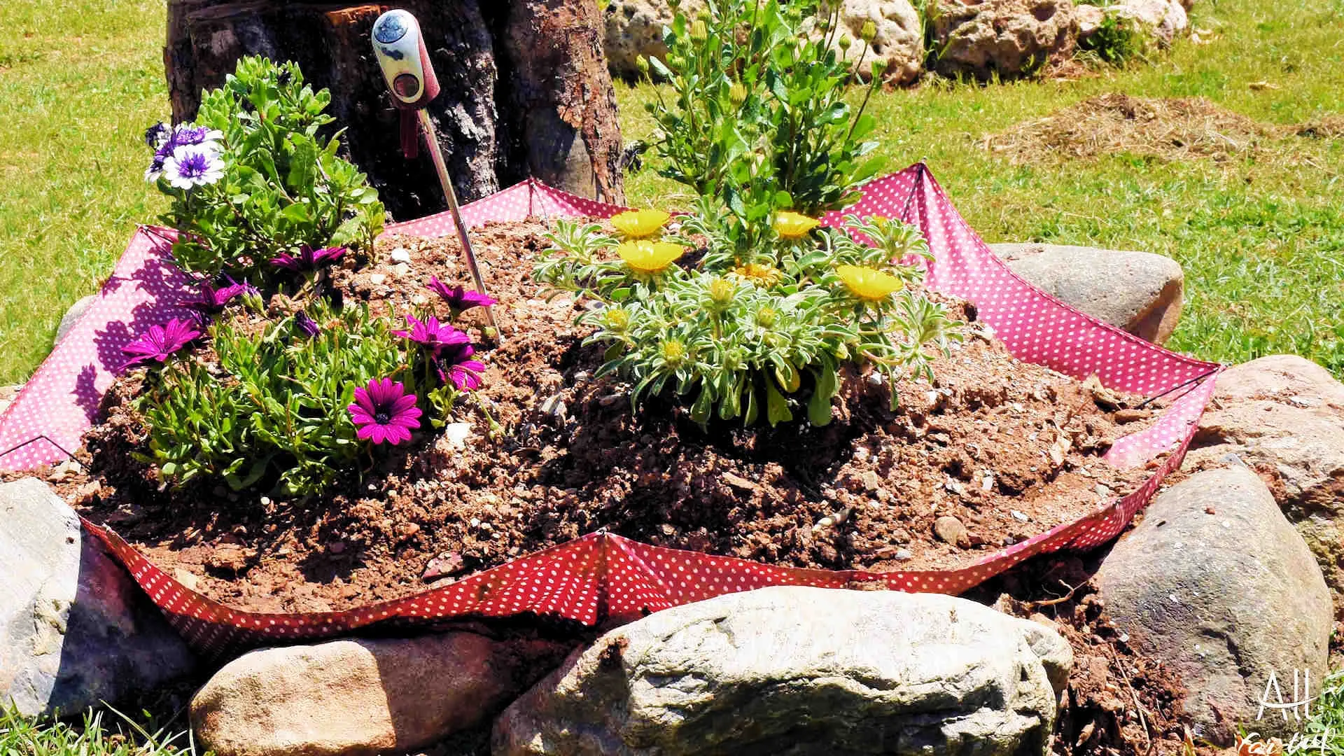 Frosini`s Garden - photo 41