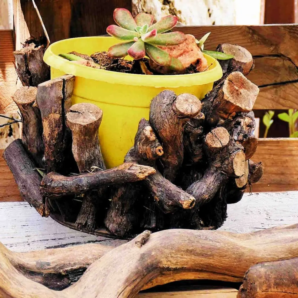 Frosini`s Garden - photo 43