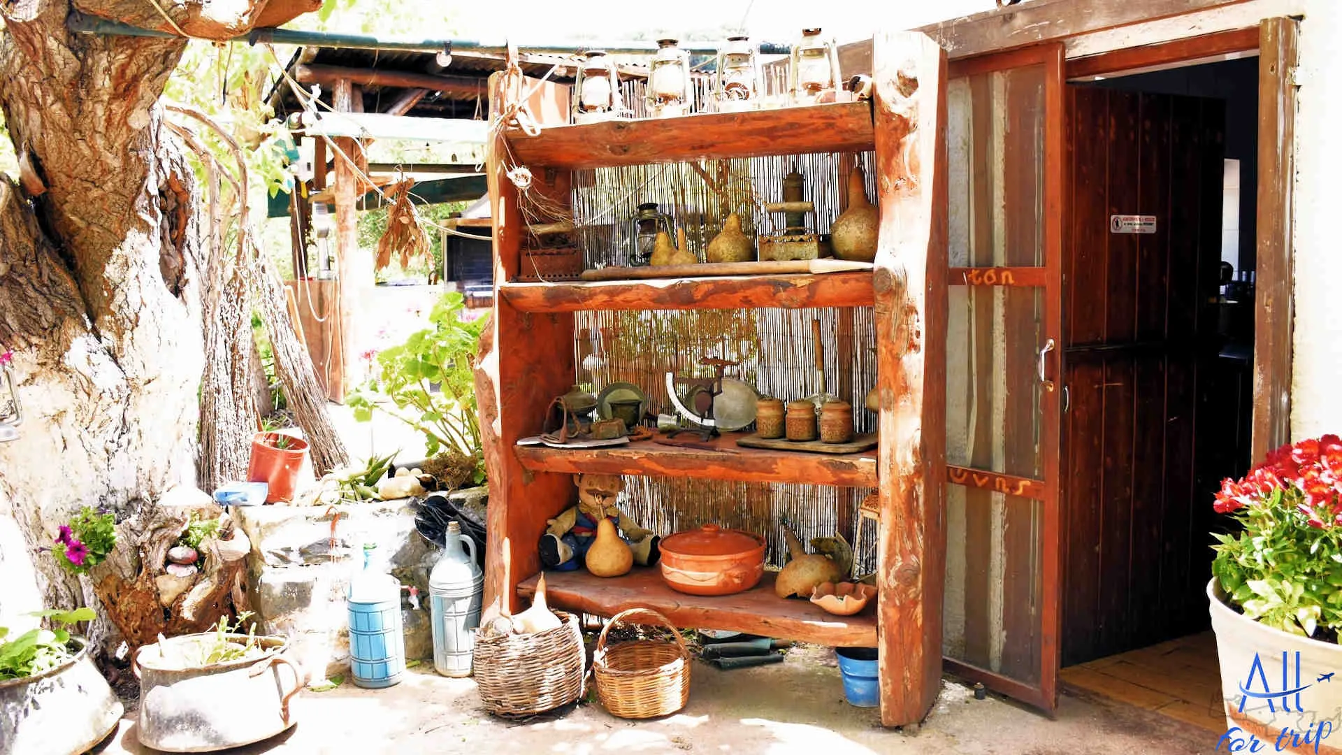 Frosini`s Garden - photo 76