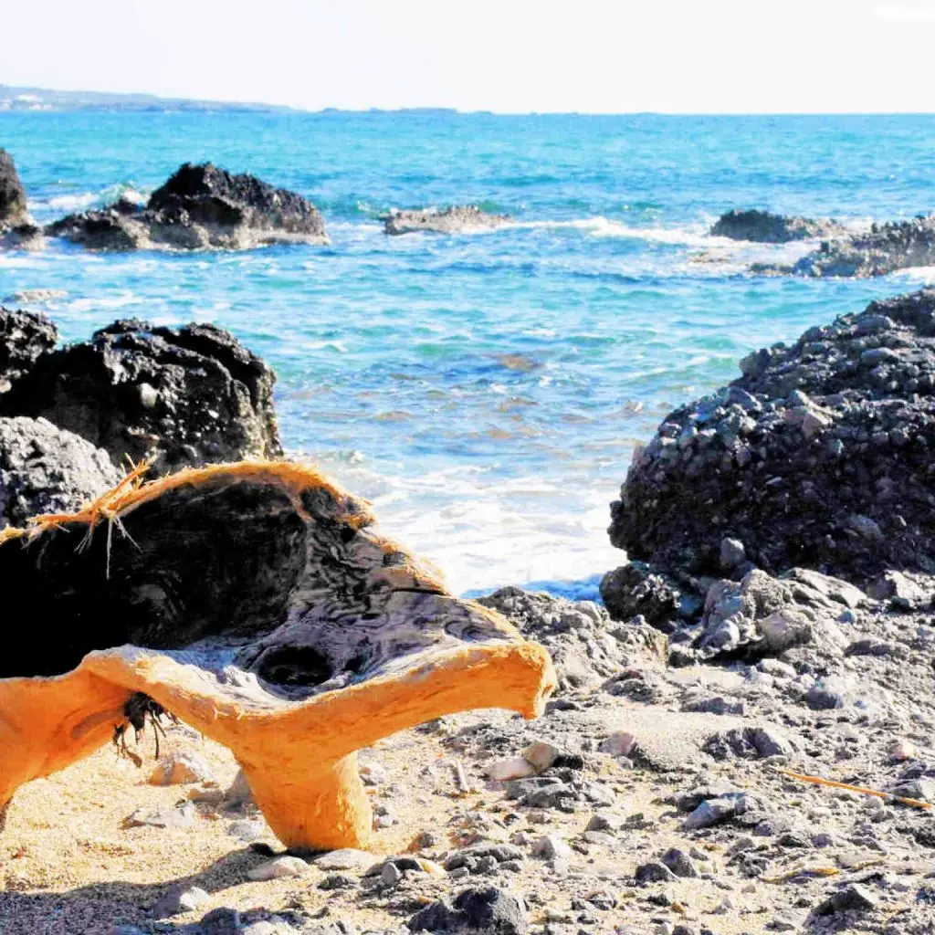 Falassarna Beach - photo 91