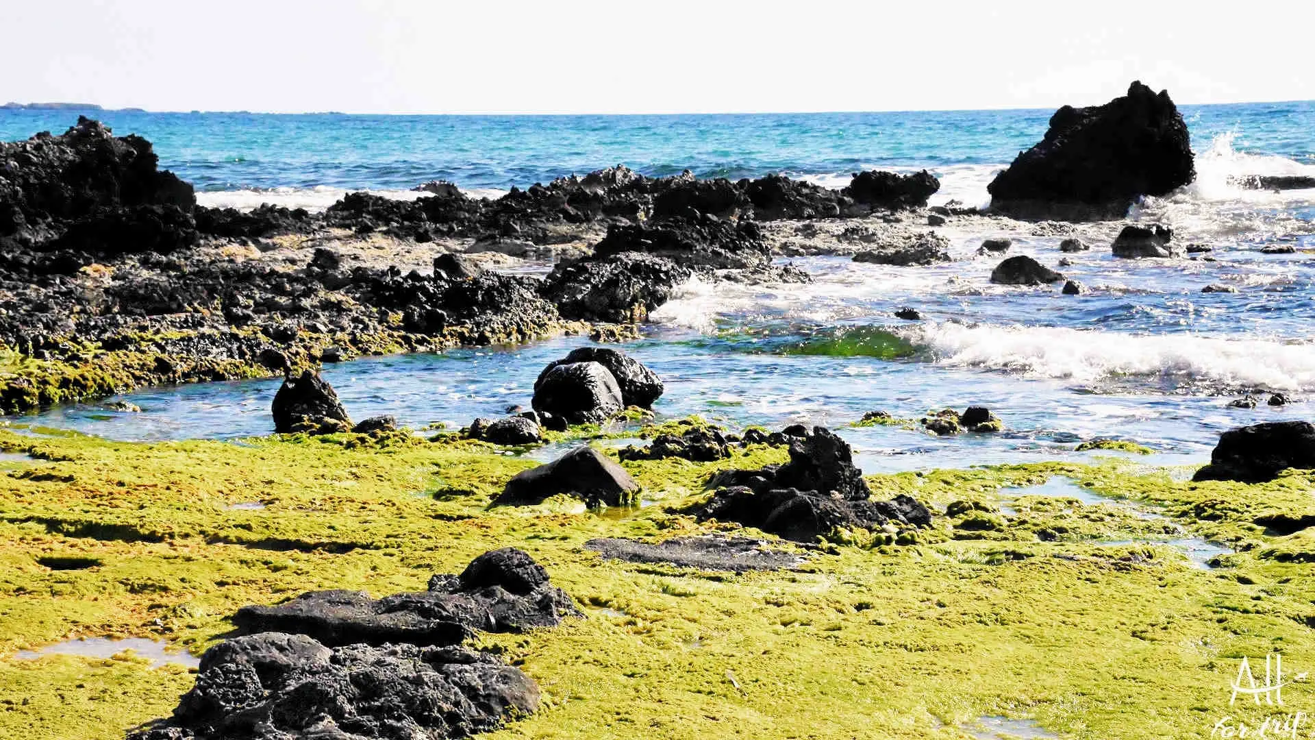Falassarna Beach - photo 110