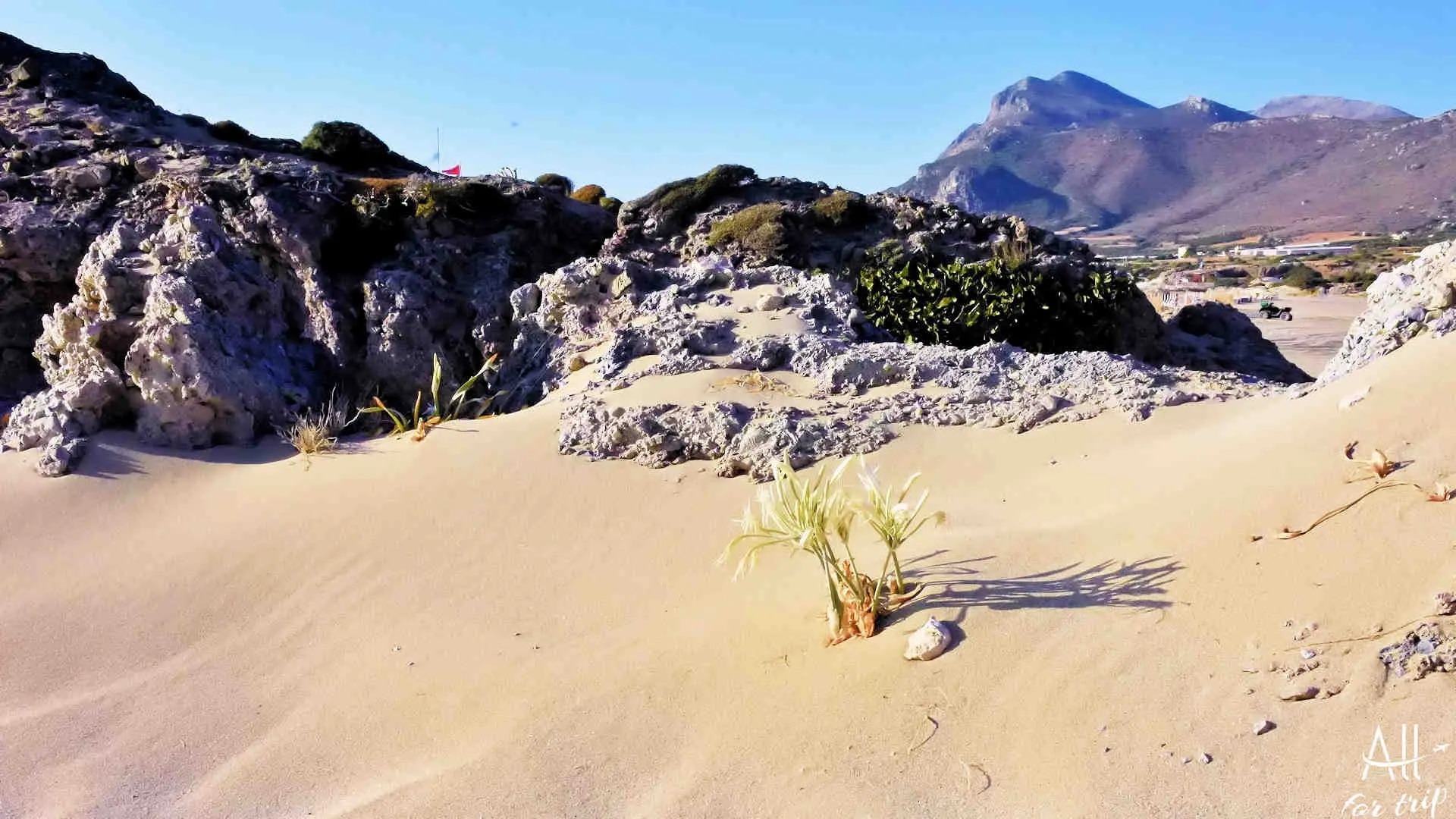 Falassarna Beach - photo 37
