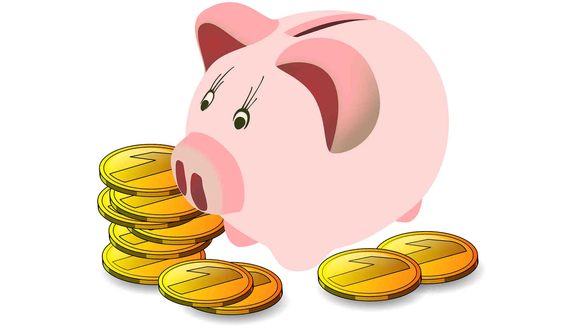 pénzes röfi With Our tips will save you money and time