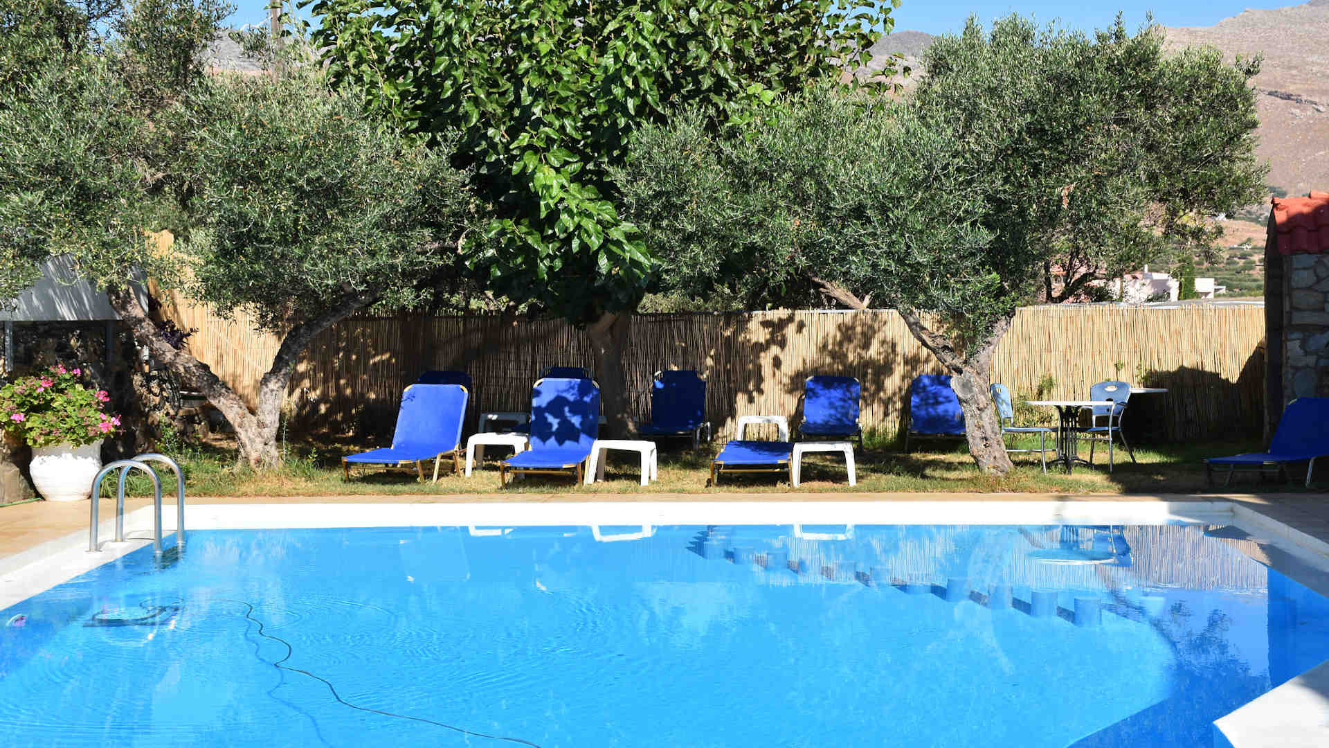 Olive Tree Apartments AllForTrip