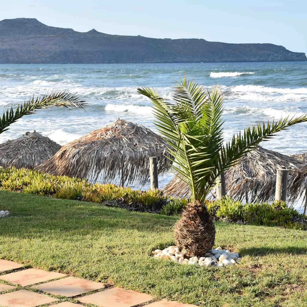 Marakas Beach Hotel - photo 5