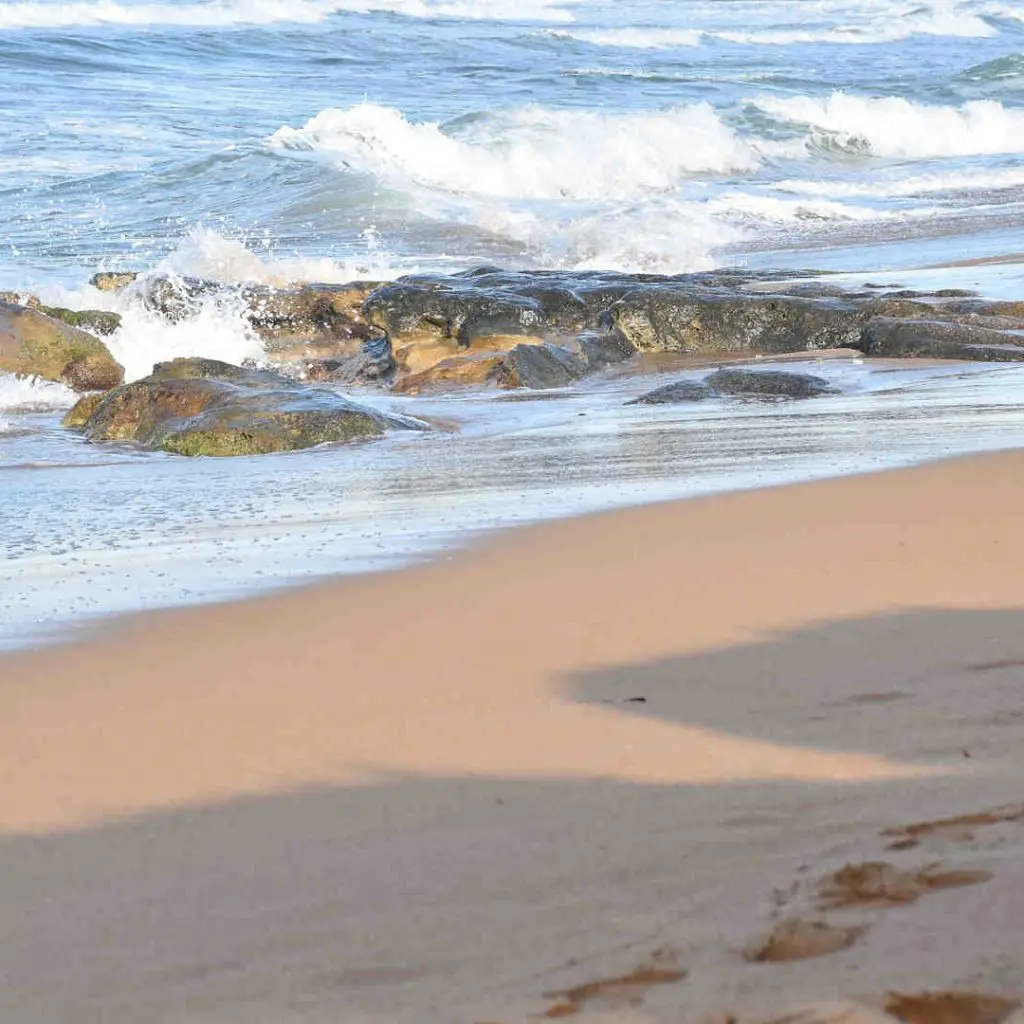 Marakas Beach Hotel - photo 7