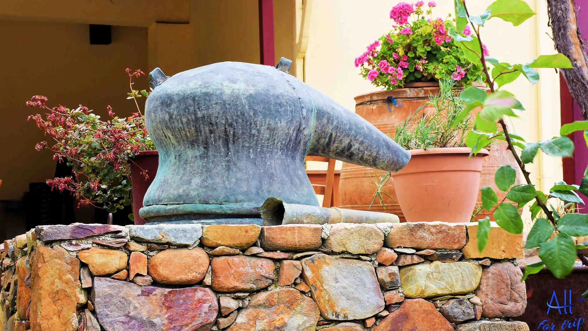 Ancient Olive Tree & Museum - photo 11