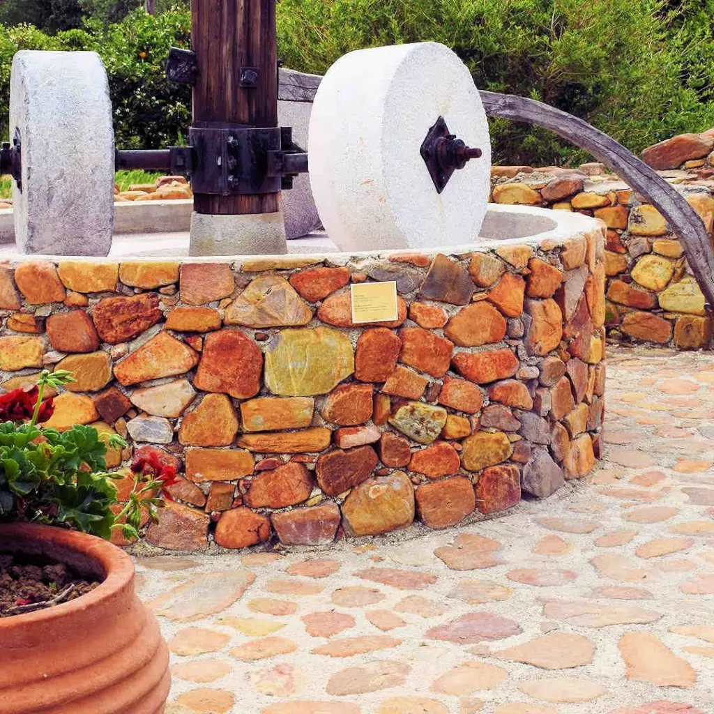 Ancient Olive Tree & Museum - photo 9