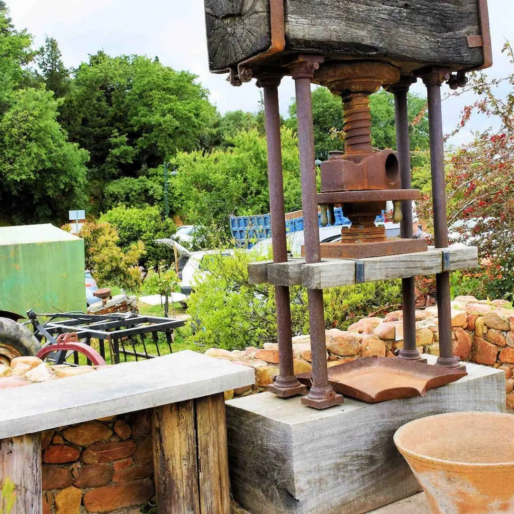 Ancient Olive Tree & Museum - photo 10