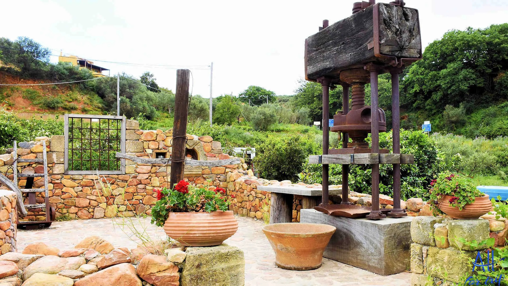 Ancient Olive Tree & Museum - photo 14