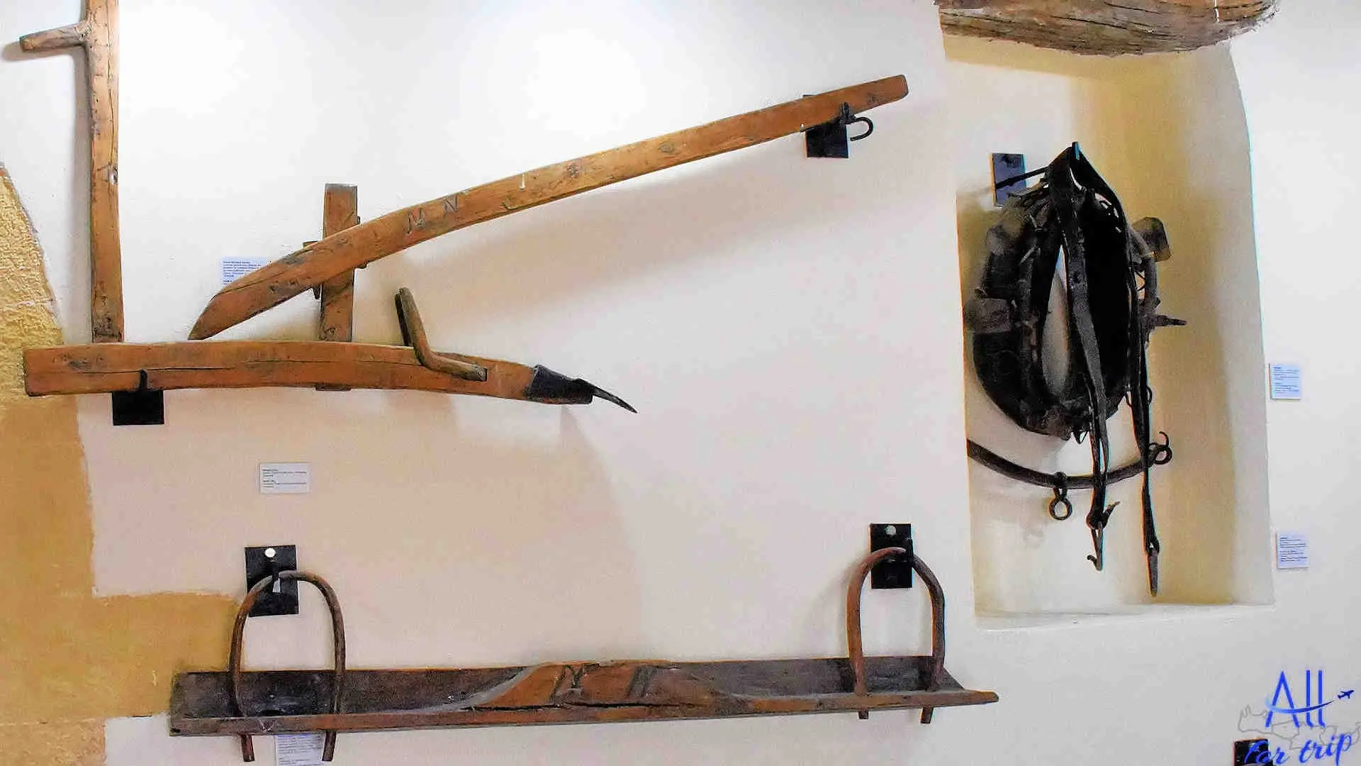 Ancient Olive Tree & Museum - photo 22