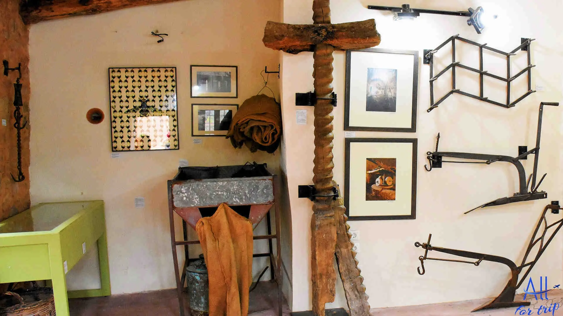 Ancient Olive Tree & Museum - photo 24