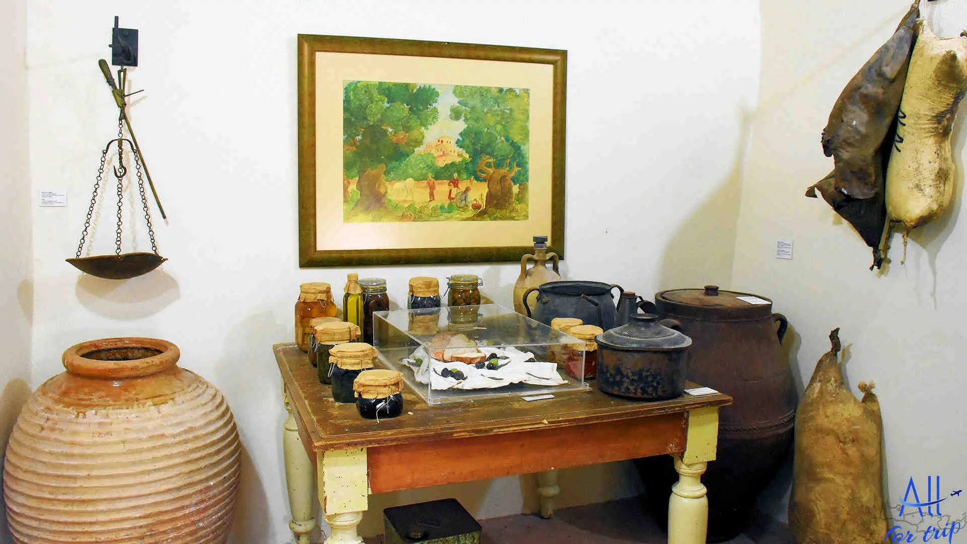 Ancient Olive Tree & Museum - photo 25