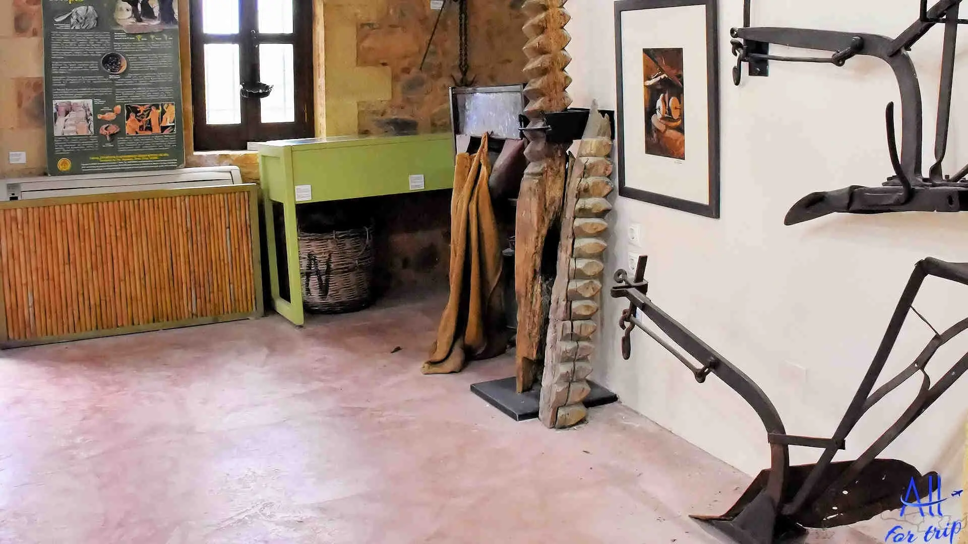 Ancient Olive Tree & Museum - photo 27