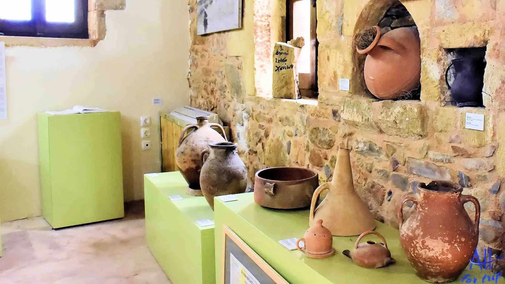 Ancient Olive Tree & Museum - photo 29