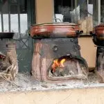 Taverna Dounias - photo 11