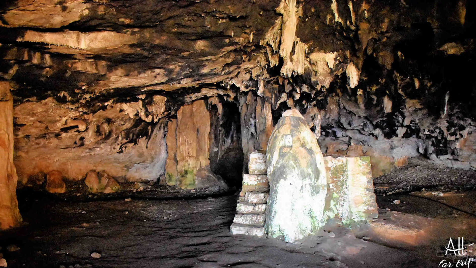 Bear Cave
