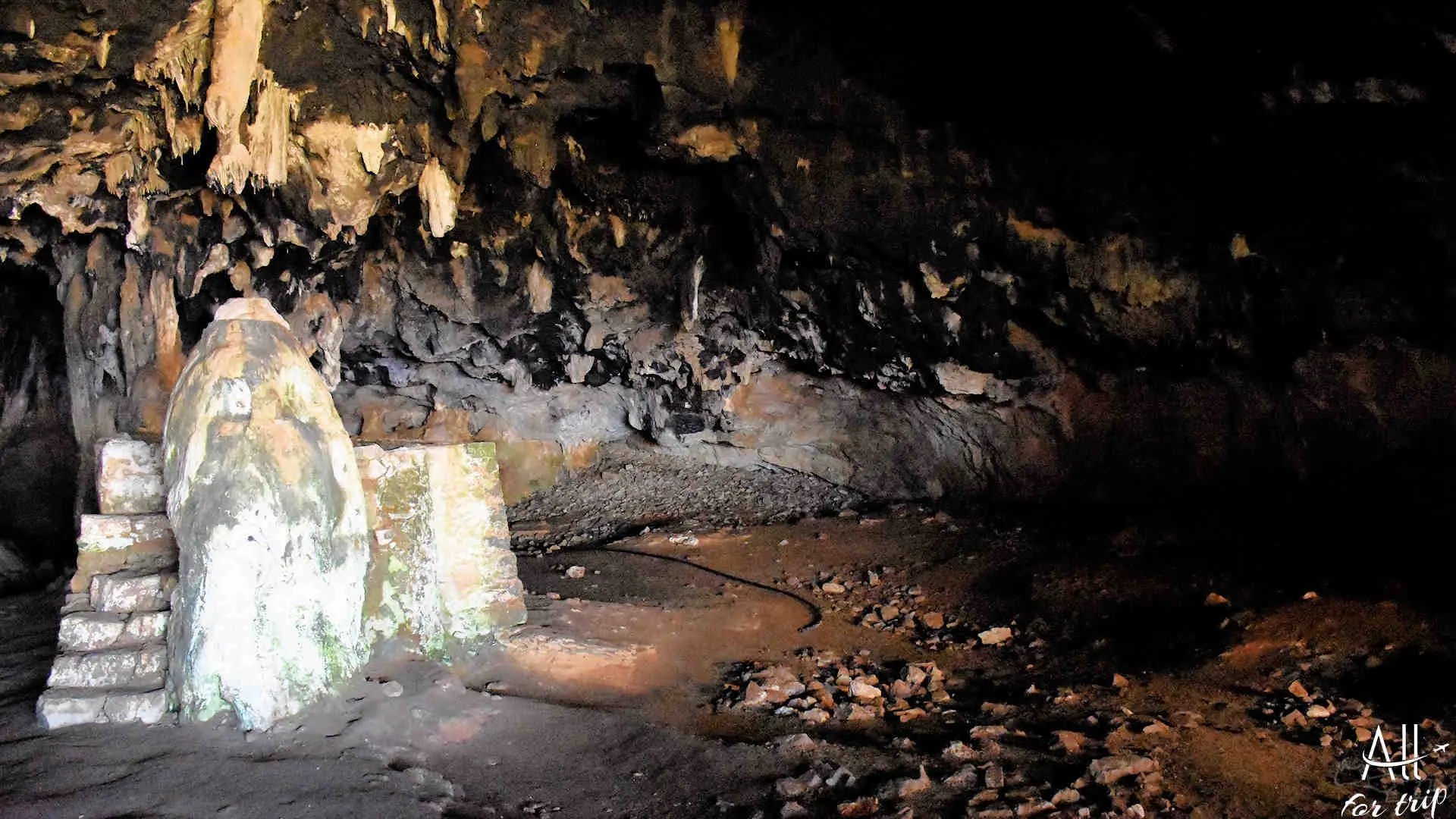 Bear Cave - photo 8