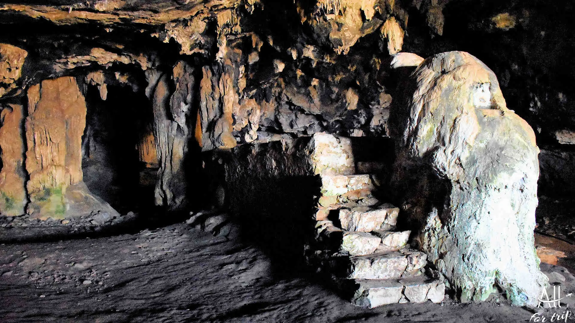 Bear Cave - photo 9