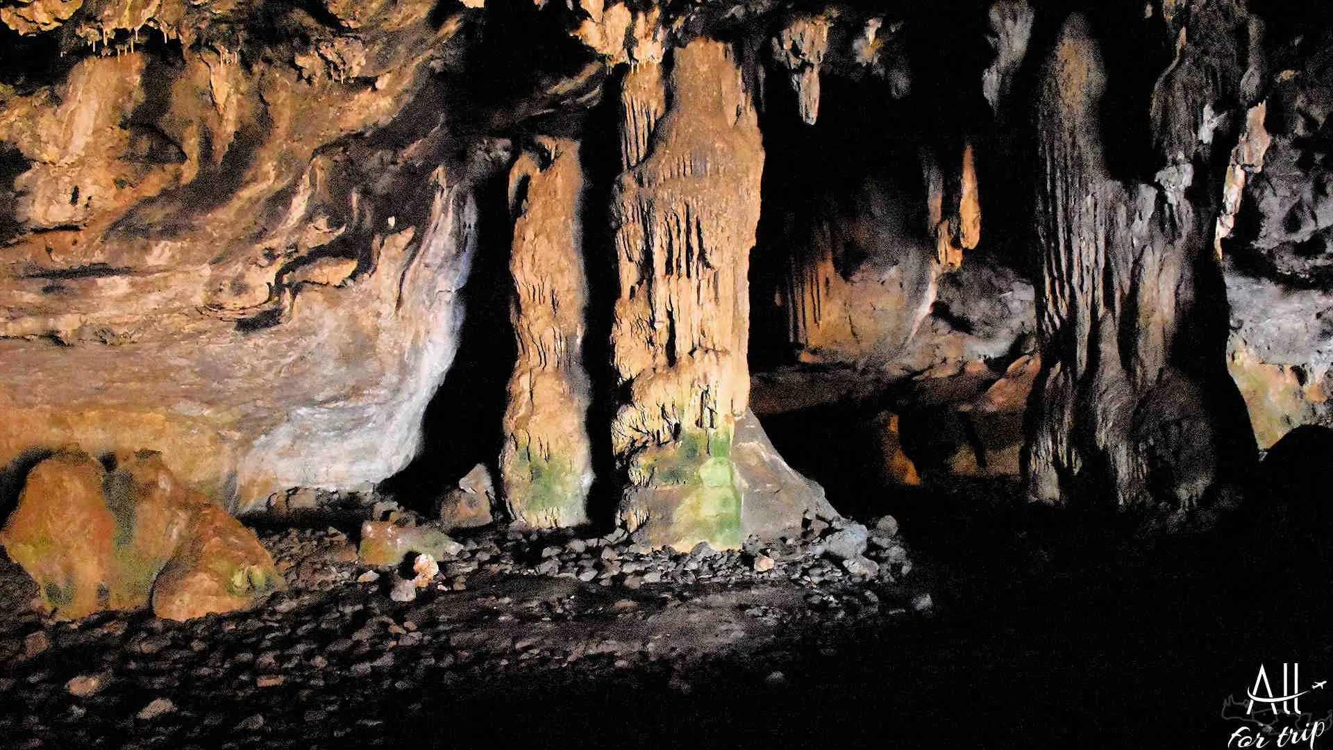 Bear Cave - photo 10