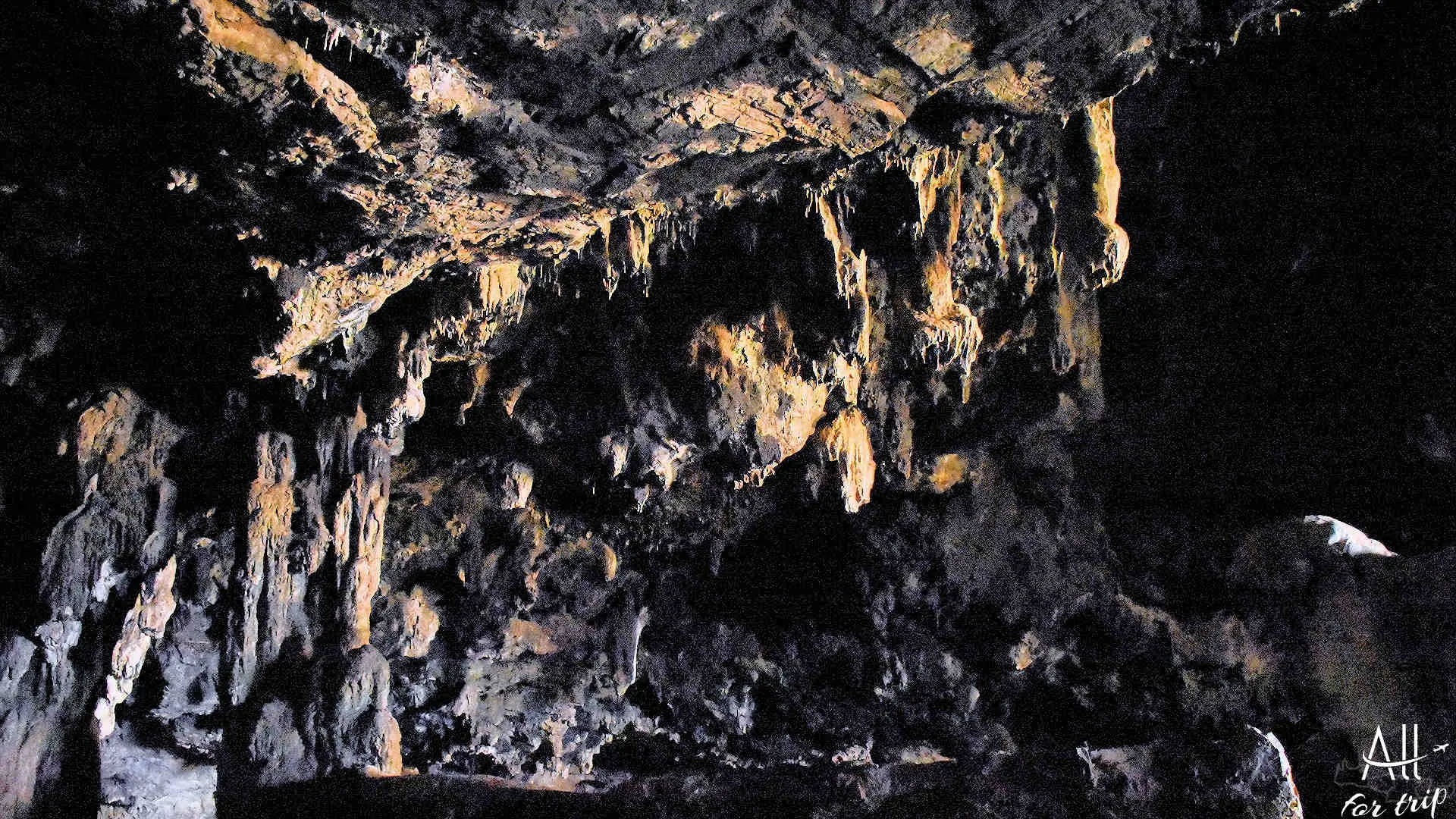 Bear Cave - photo 12