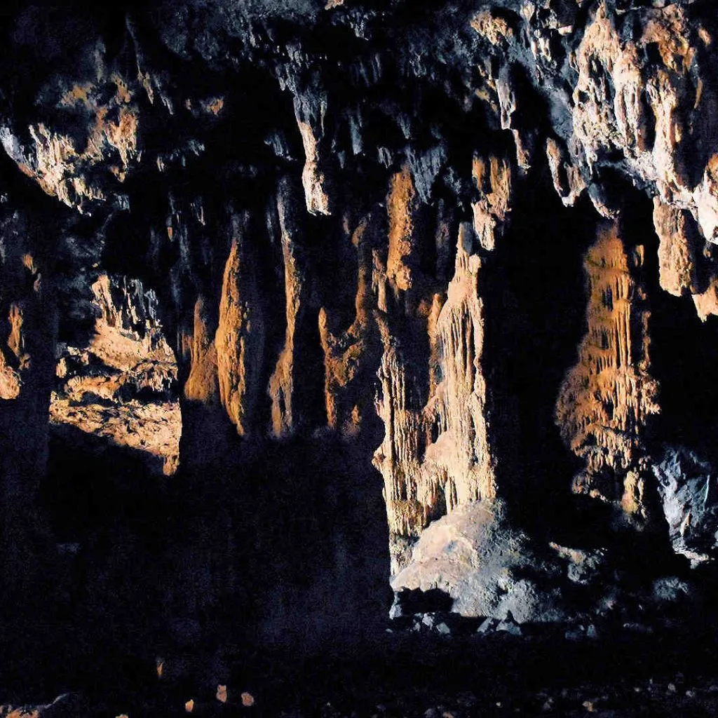 Bear Cave - photo 14