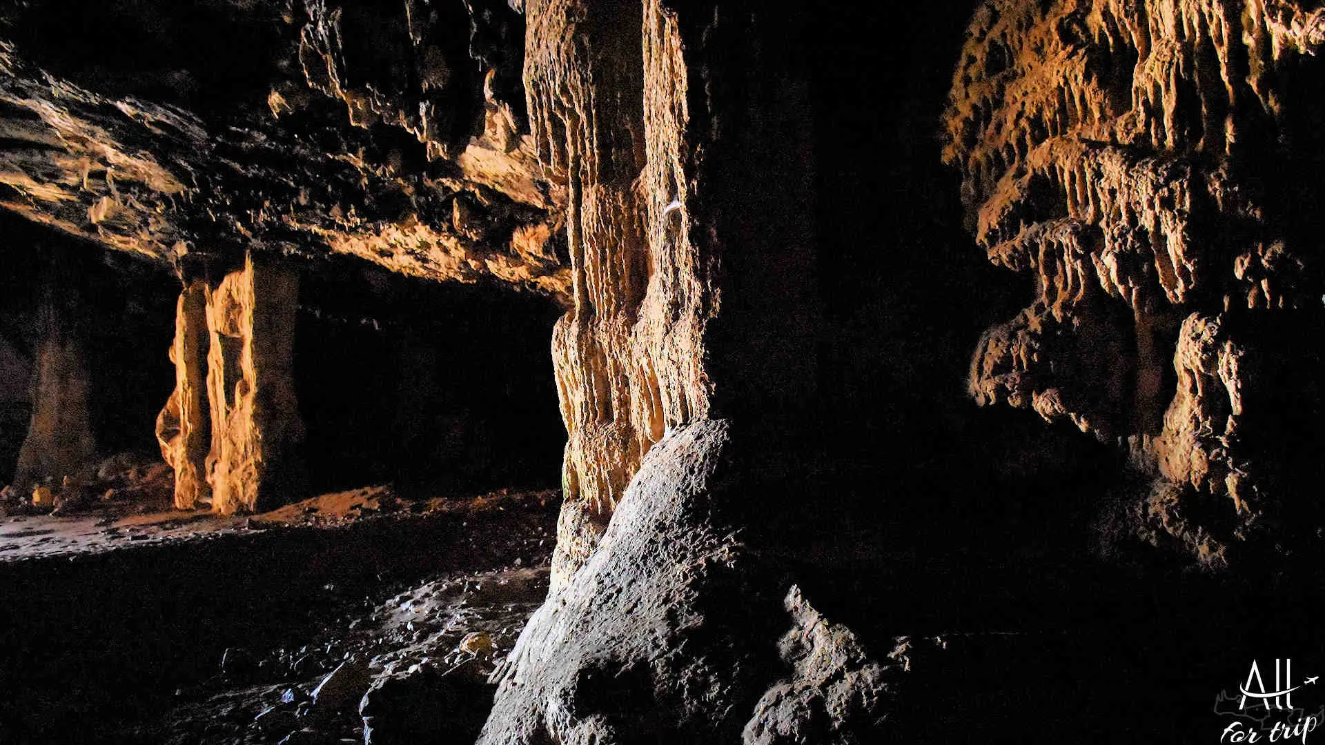 Bear Cave - photo 17
