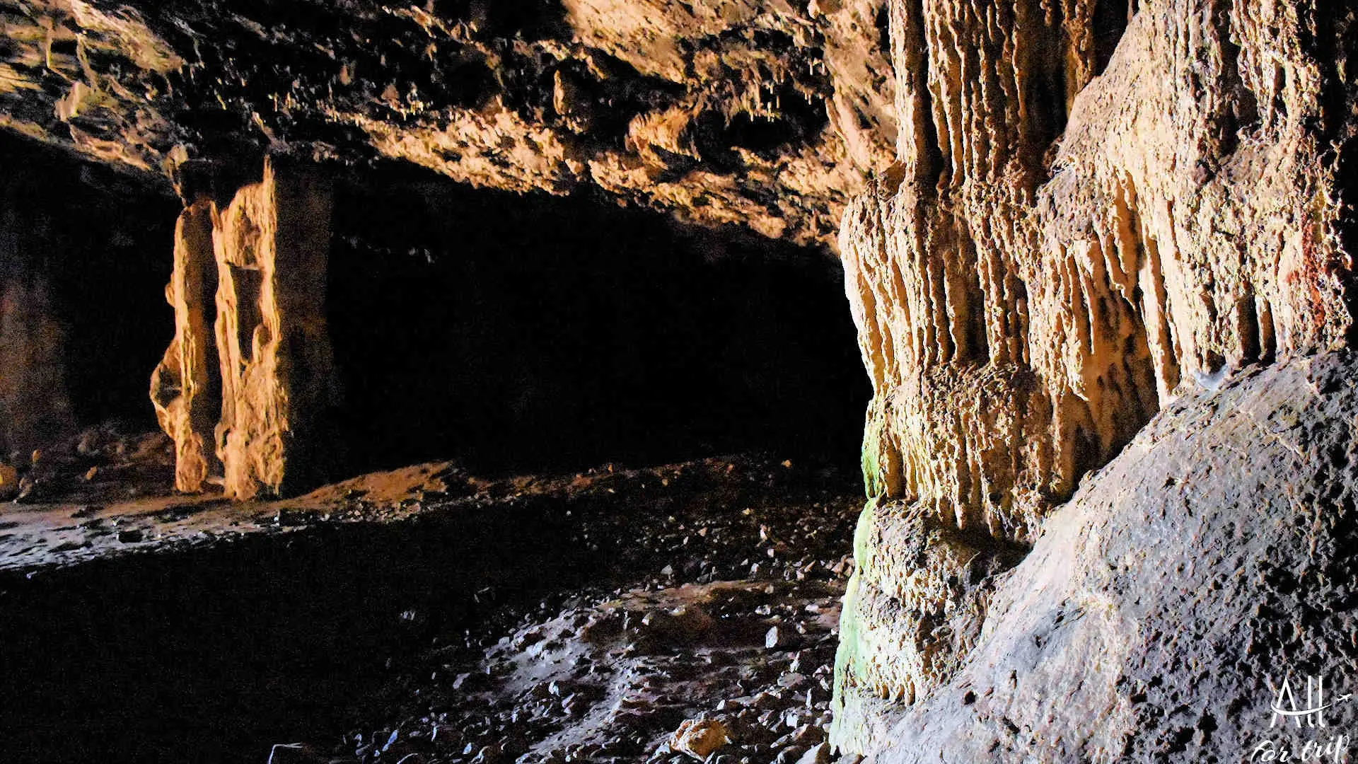 Bear Cave - photo 18