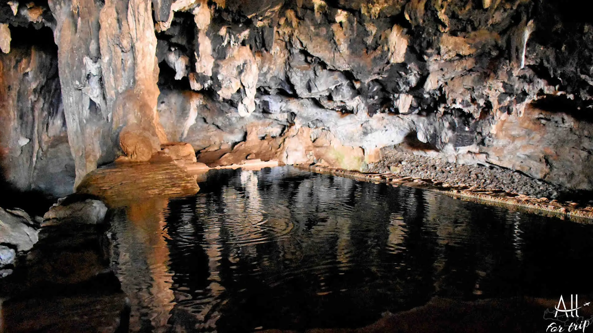 Bear Cave - photo 20