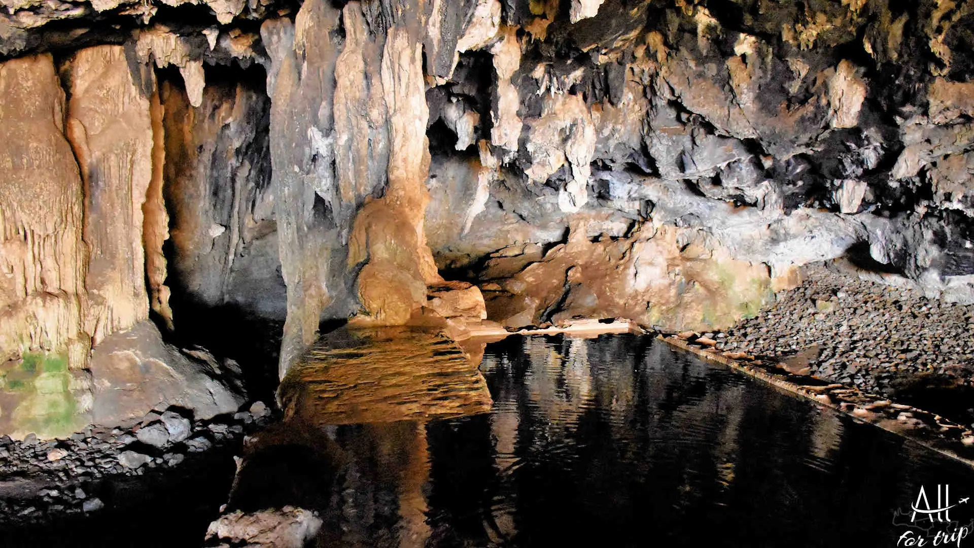 Bear Cave - photo 23