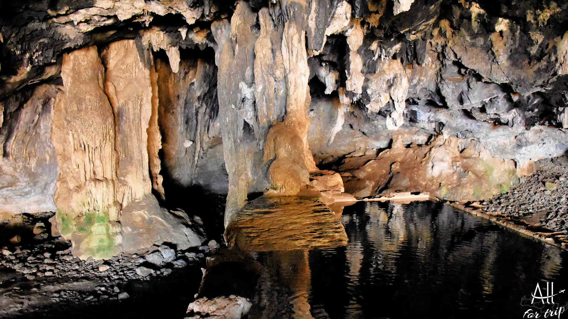 Bear Cave - photo 21