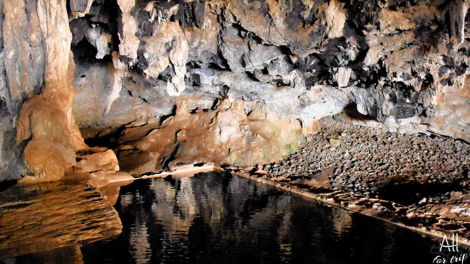 Bear Cave - photo 22