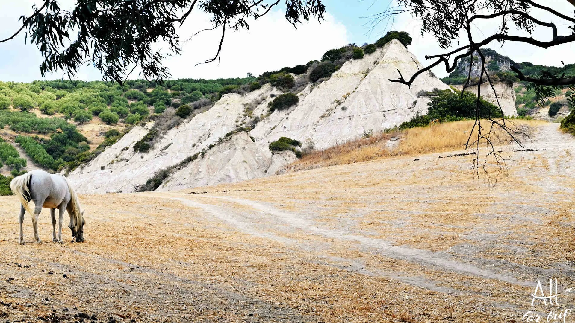 Komolithi, Potamida - photo 35