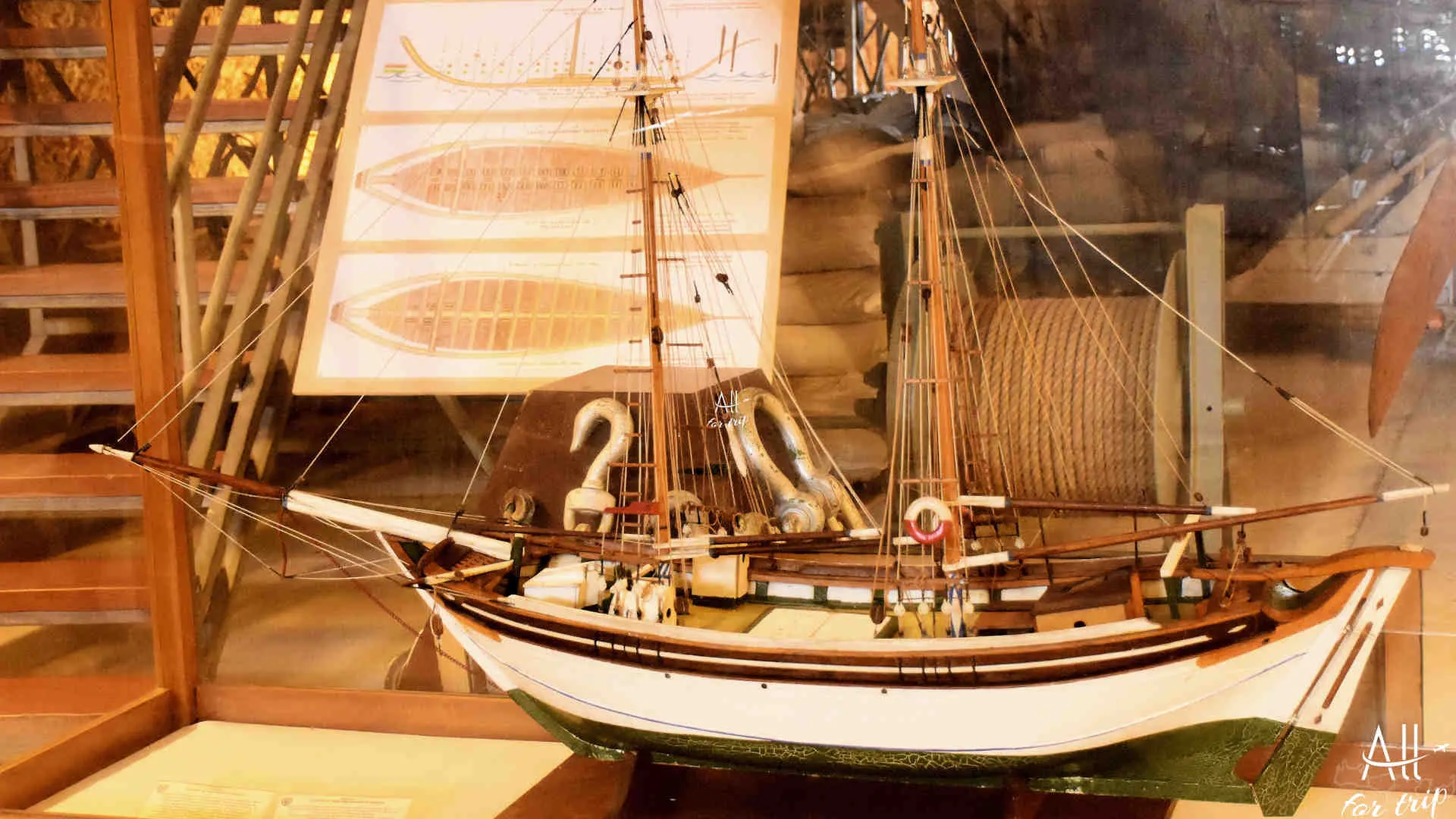 Museum of Ancient Shipbuilding - photo 13