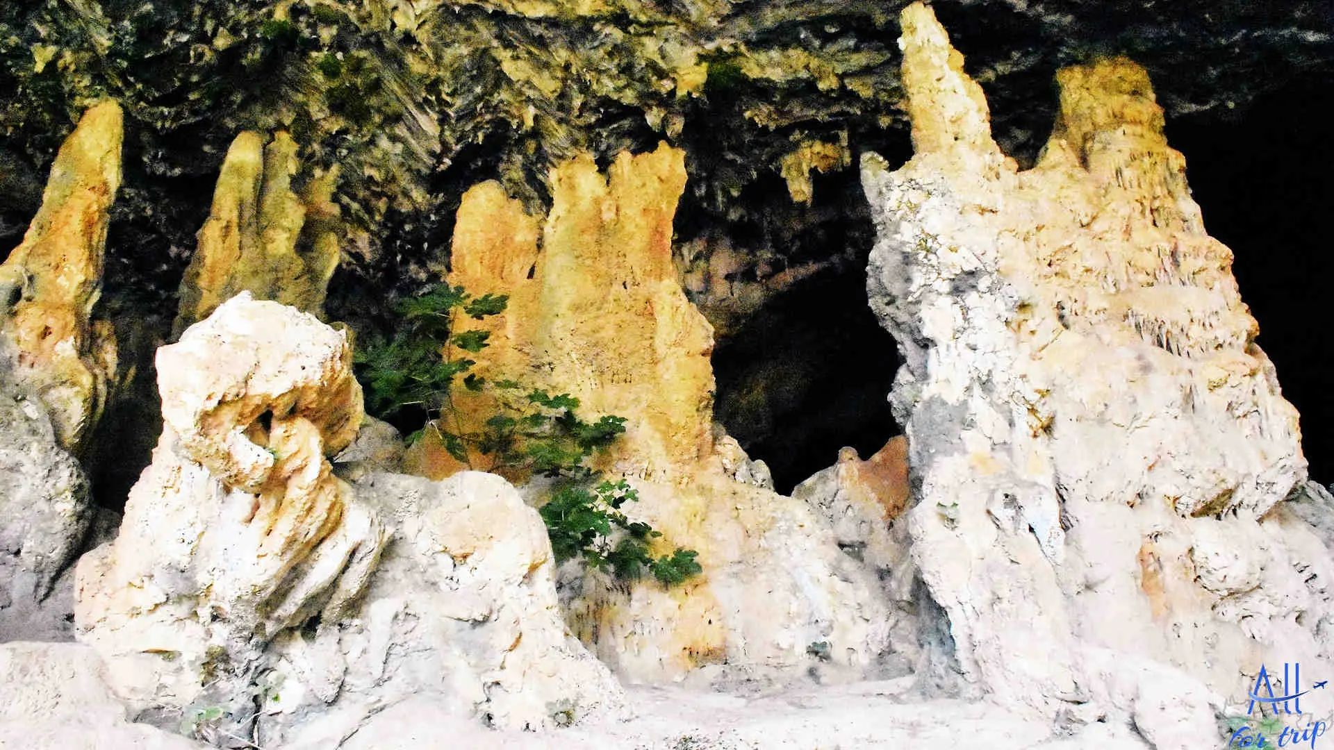 Cave of Agia Sofia - photo 58
