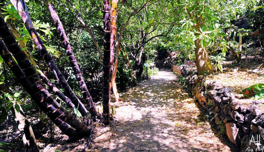 Botanical Park & Gardens Of Crete