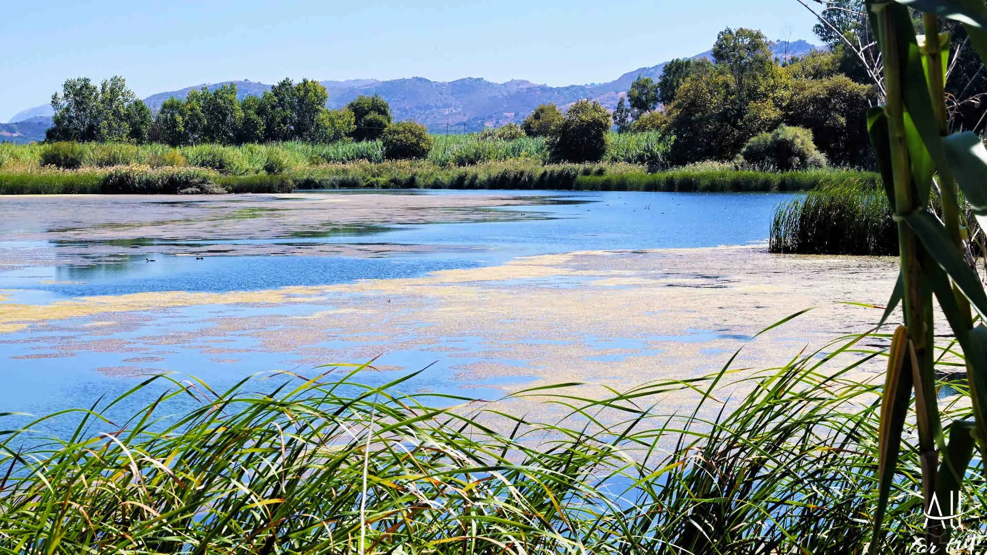 Lake Agia - photo 3